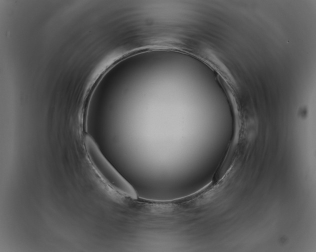 X0000094911196200711291248