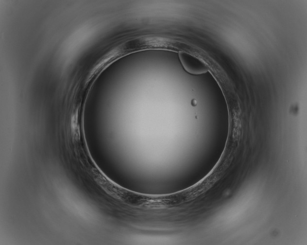 X0000094911198200711291248