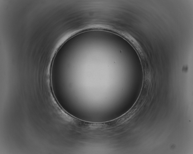 X0000094911199200711291248
