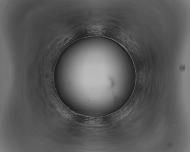 X0000094911201200711291247