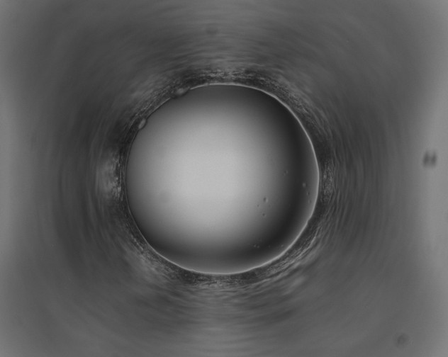 X0000094911202200711291247