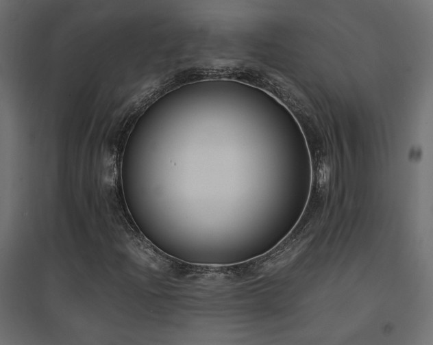 X0000094911204200711291247