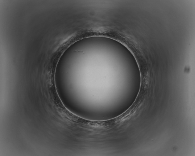 X0000094911205200711291247