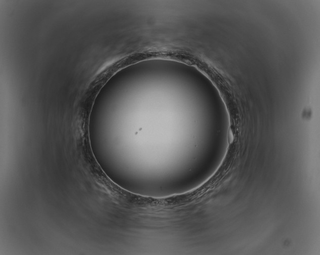X0000094911206200711291247