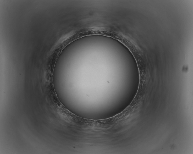 X0000094911207200711291247