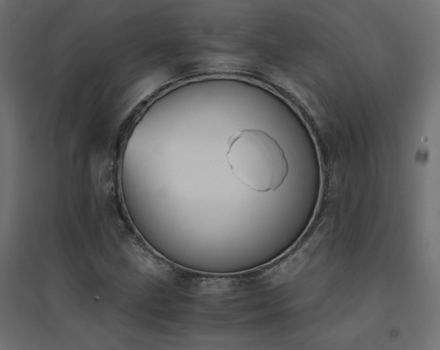 X0000094911211200711291248