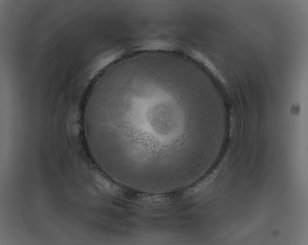 X0000094911213200711291248