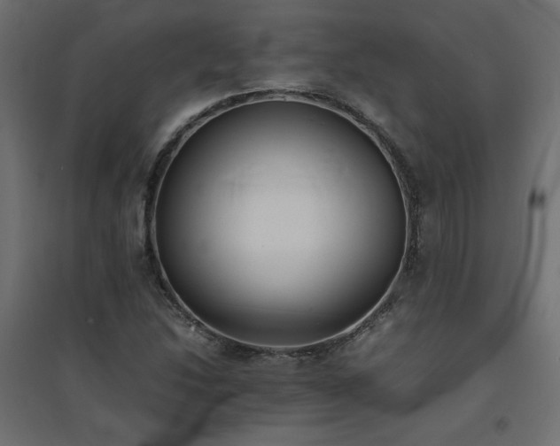 X0000094911214200711291248