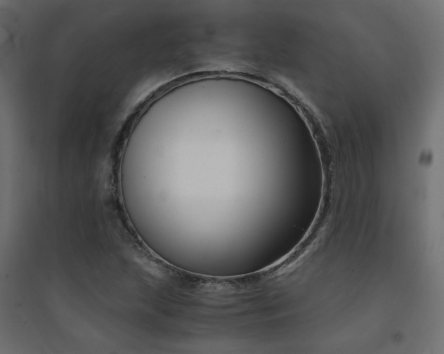 X0000094911215200711291248