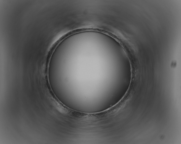 X0000094911216200711291248