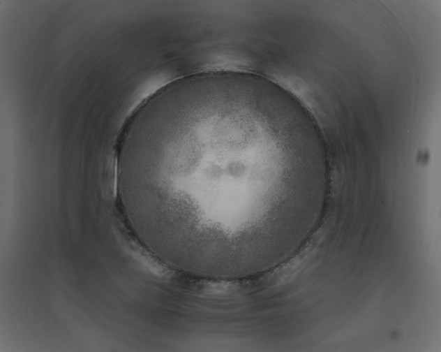 X0000094911219200711291248