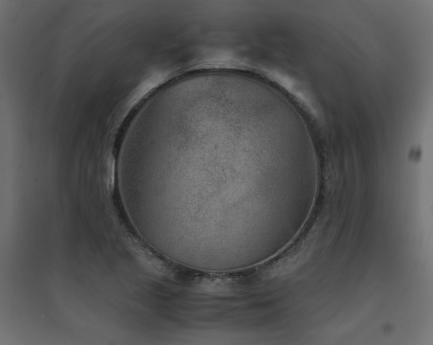 X0000094911221200711291248