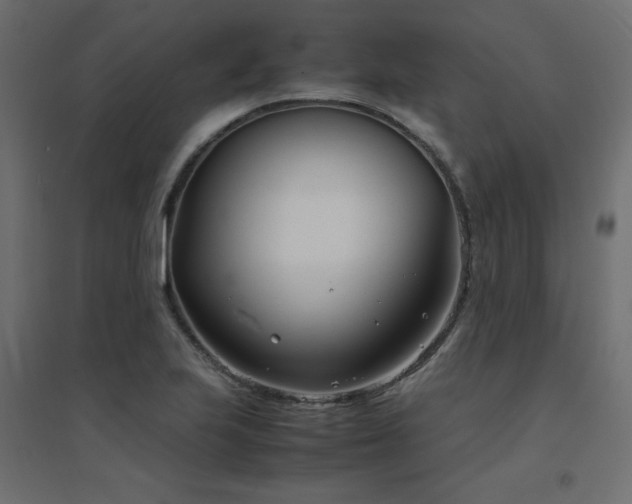 X0000094911223200711291248