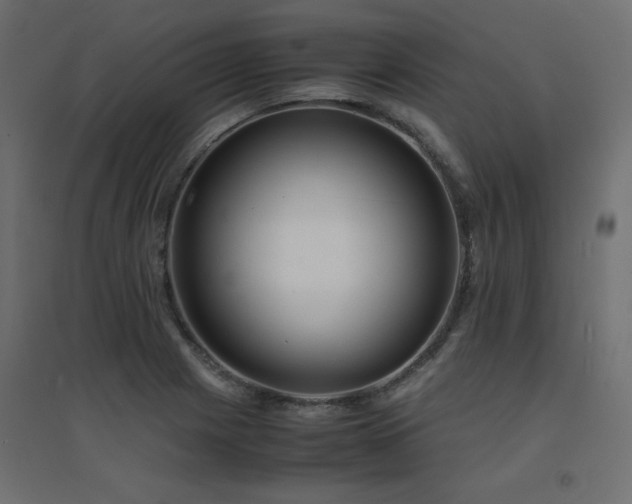 X0000094911225200711291248
