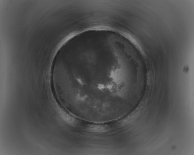 X0000094911229200711291248