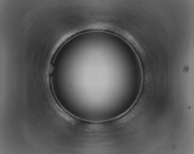 X0000094911232200711291248