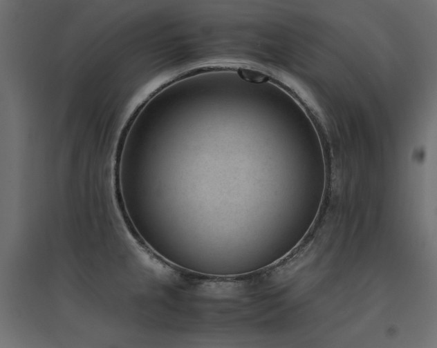 X0000094911237200711291248
