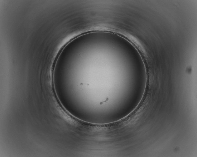 X0000094911238200711291248