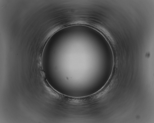 X0000094911241200711291248