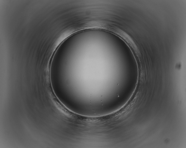 X0000094911242200711291248