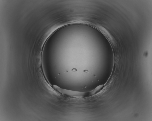 X0000094911244200711291248