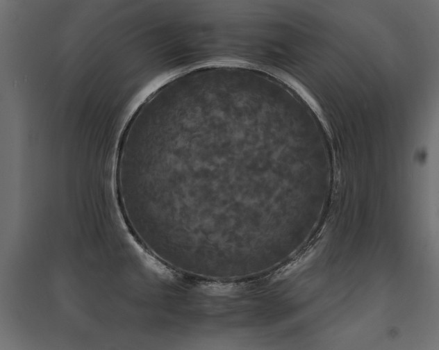X0000094911245200711291248