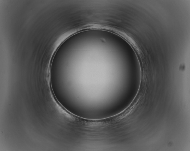 X0000094911247200711291248
