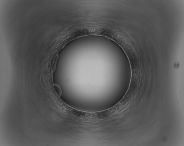X0000094911249200711291247