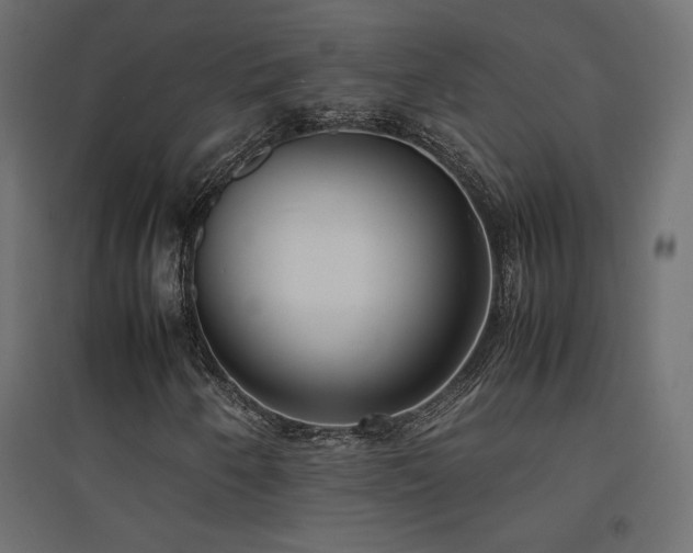 X0000094911250200711291247