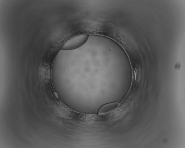 X0000094911251200711291247