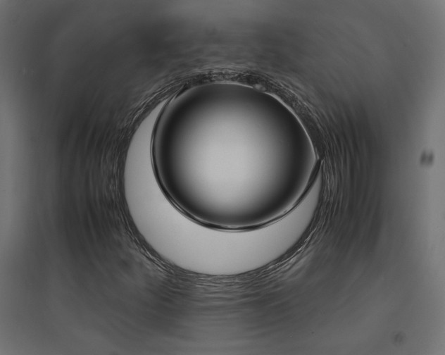 X0000094911252200711291247