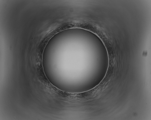 X0000094911253200711291247