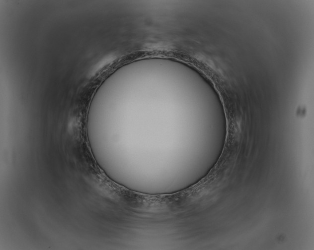 X0000094911254200711291247