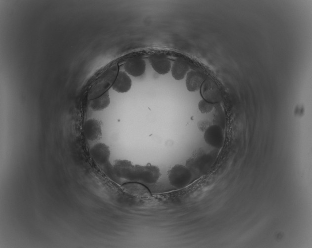 X0000094911255200711291247