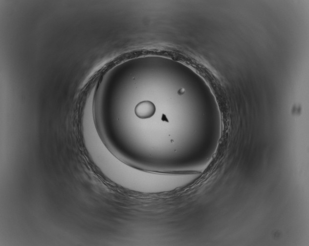 X0000094911256200711291247