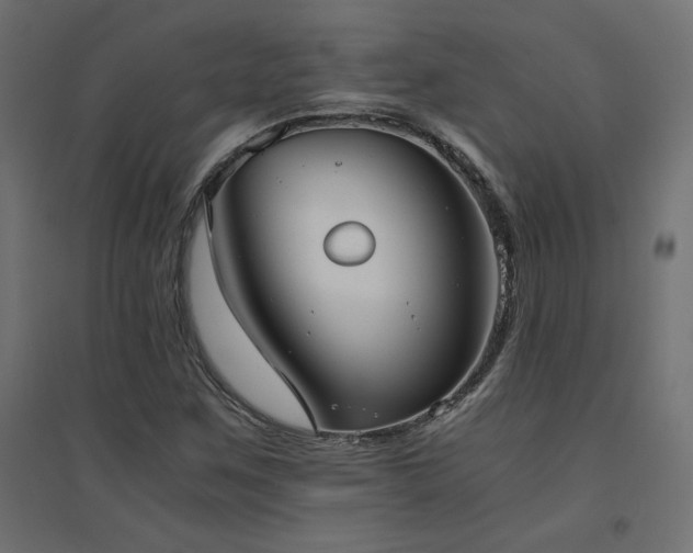 X0000094911259200711291247