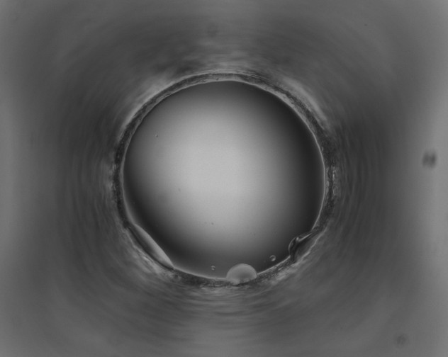 X0000094911260200711291247