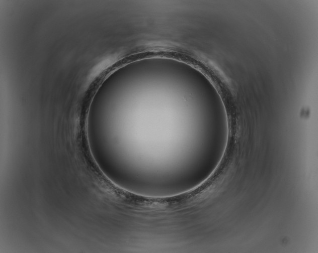 X0000094911261200711291247