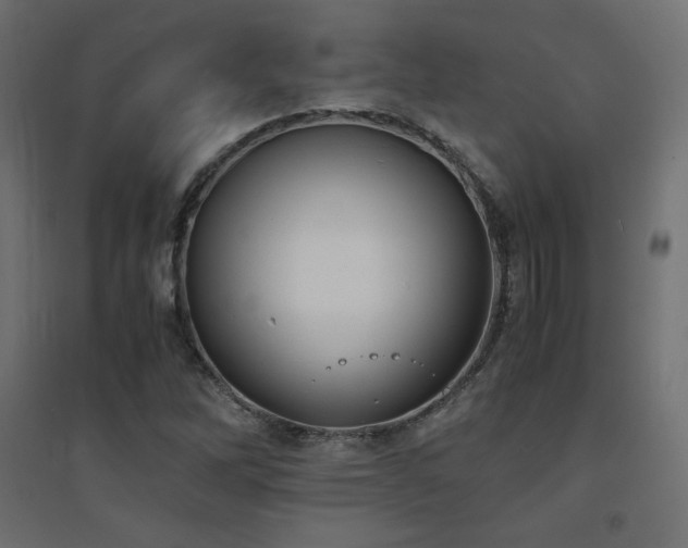 X0000094911262200711291247