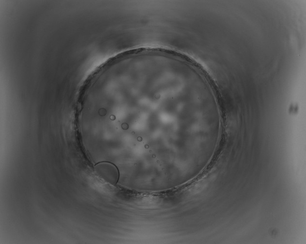 X0000094911263200711291247