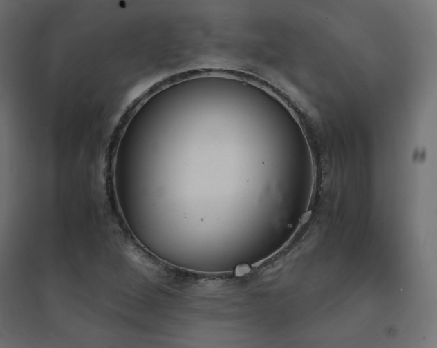 X0000094911264200711291247