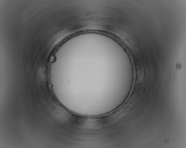 X0000094911266200711291247