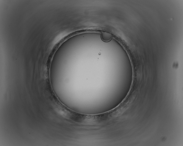 X0000094911267200711291247