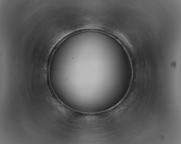 X0000094911268200711291247