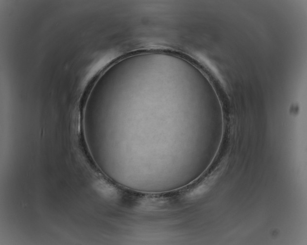 X0000094911269200711291247