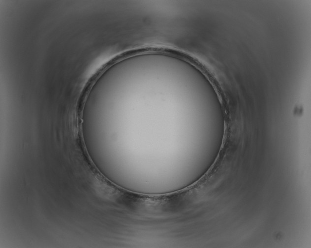 X0000094911271200711291247