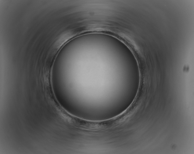 X0000094911273200711291247