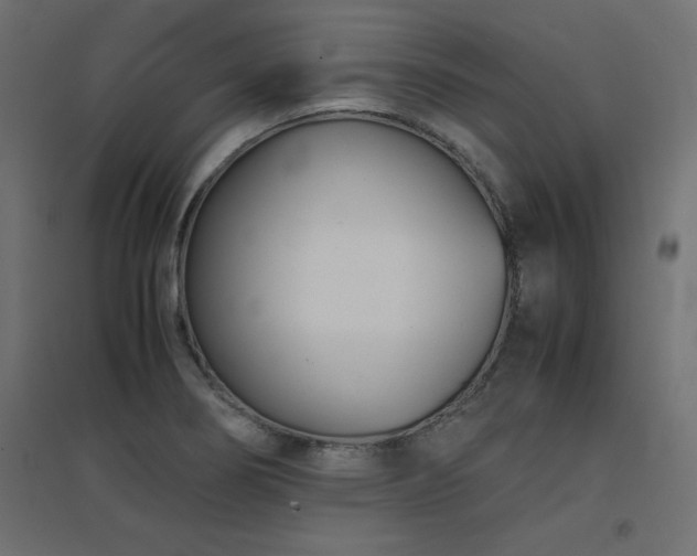 X0000094911274200711291247