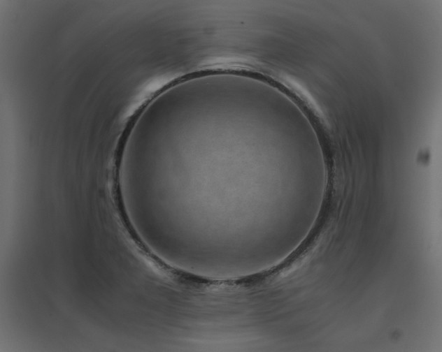 X0000094911277200711291247