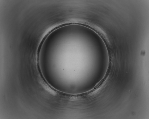 X0000094911280200711291247